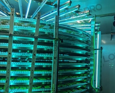 食品廠防爆紫外線殺菌燈：保障食品生產(chǎn)環(huán)境安全的利器！