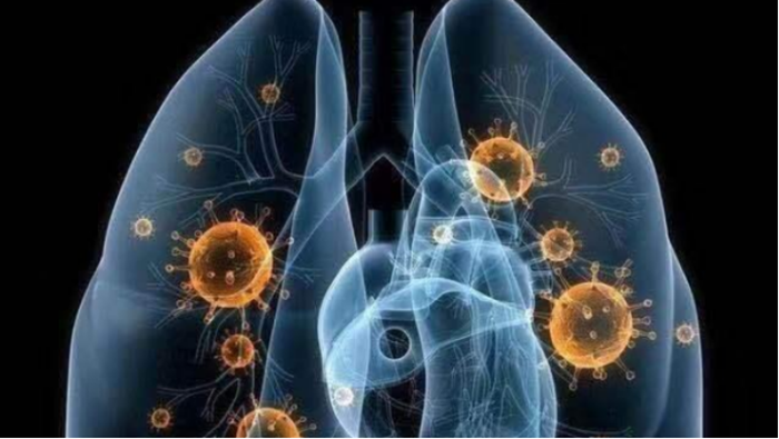 微信圖片_20200217225240_副本.png 微信圖片_20200217225240_副本.png