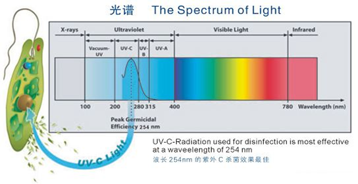 科普！紫外線殺菌燈對(duì)人體影響及正確使用方法