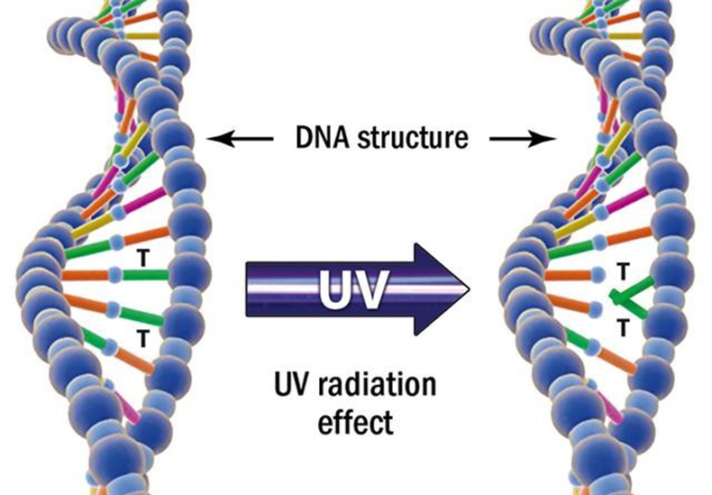 1587369405(1).jpg 1587369405(1).jpg