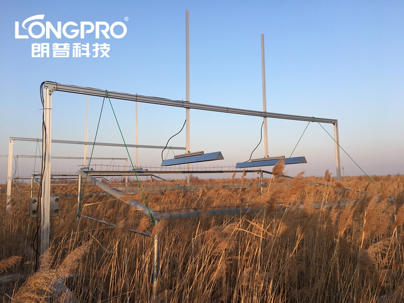 中科院黃河三角洲蘆葦?shù)卦鰷啬M實驗.jpg 中科院黃河三角洲蘆葦?shù)卦鰷啬M實驗.jpg